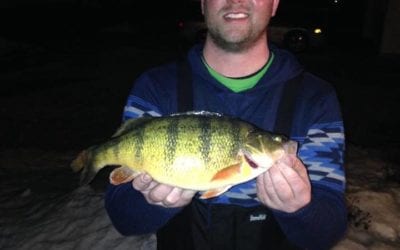 Potential New South Dakota State record Perch