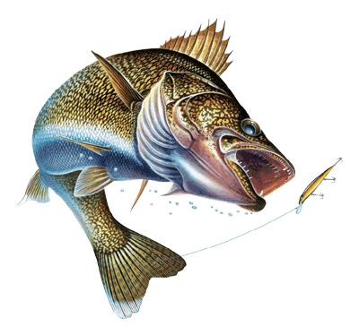 Northeastern South Dakota Walleye Club
