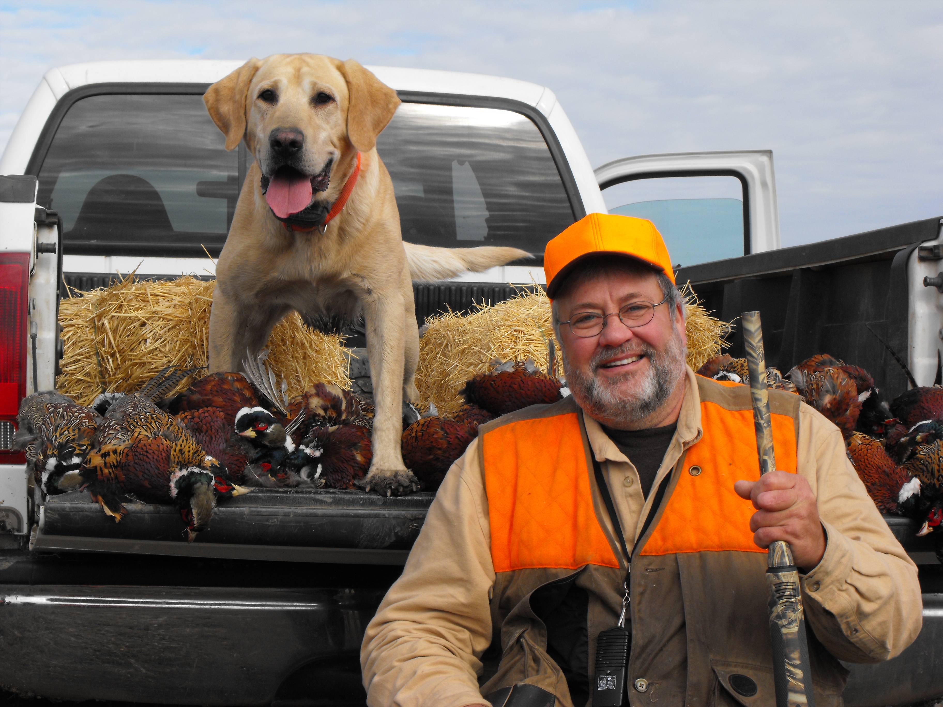 Dan Schiebout-Antler Ridge Pheasants