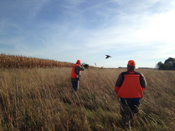 MN. Gov’s Pheasant Opener 2015 By Gary Howey