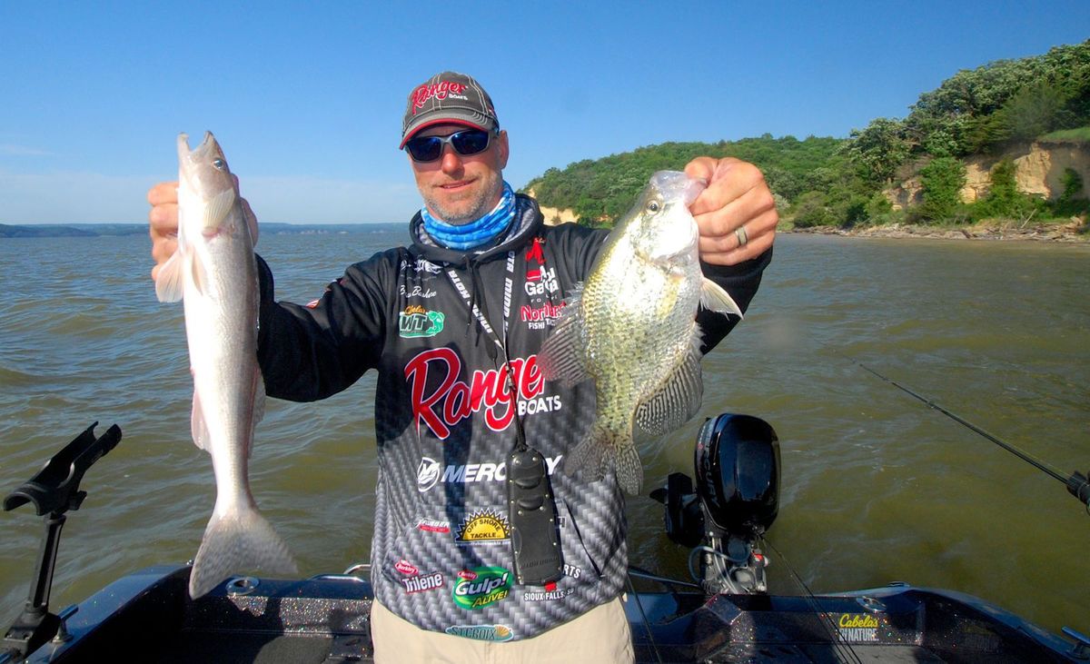 Bashore-Sauger-Crappie