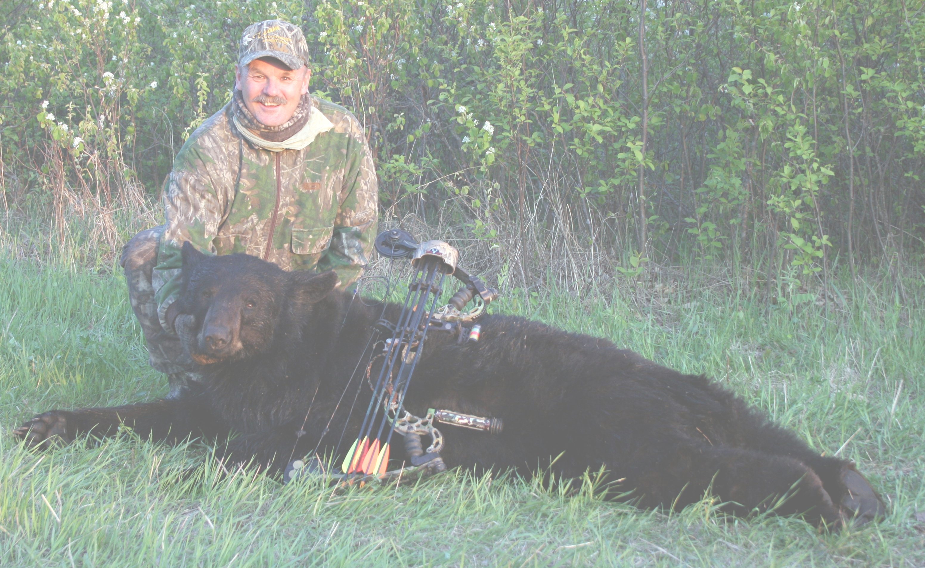 Pope & Young Manitoba bear