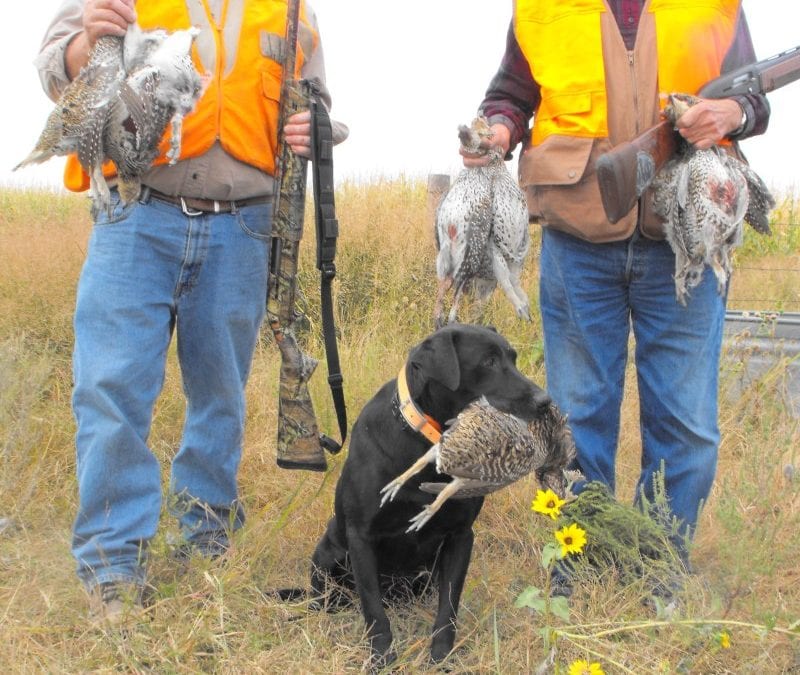 Hunting Seasons are Here