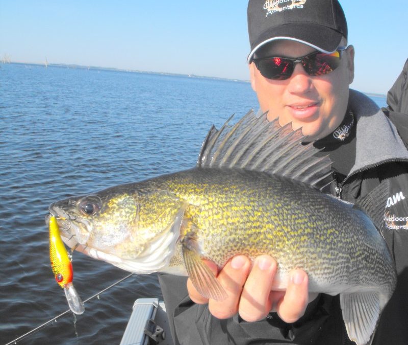 “Of the Outdoors” What is the Right Color Crankbait