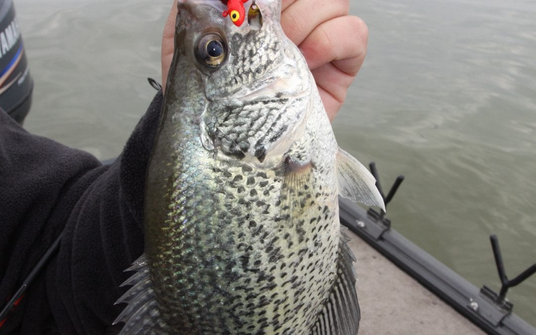 Shade the Key to fishing success By Gary Howey