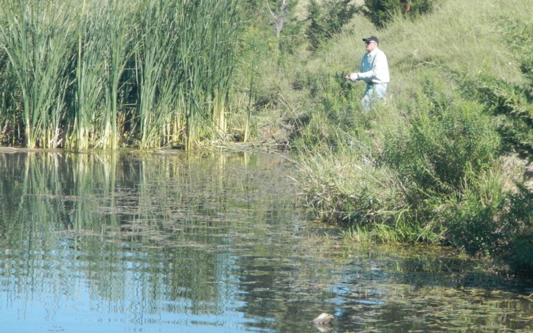 In the Weeds  By Gary Howey