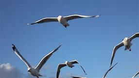 Structure, where a Little change makes a Big difference By gary Howey