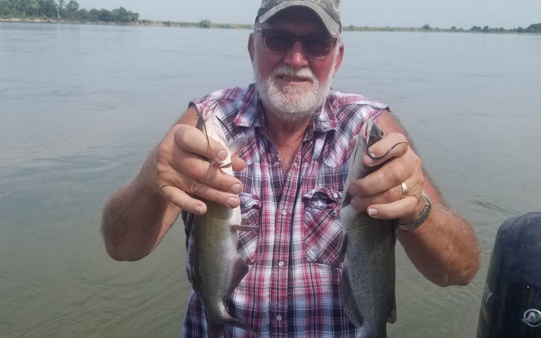 Cats on the River By Gary Howey