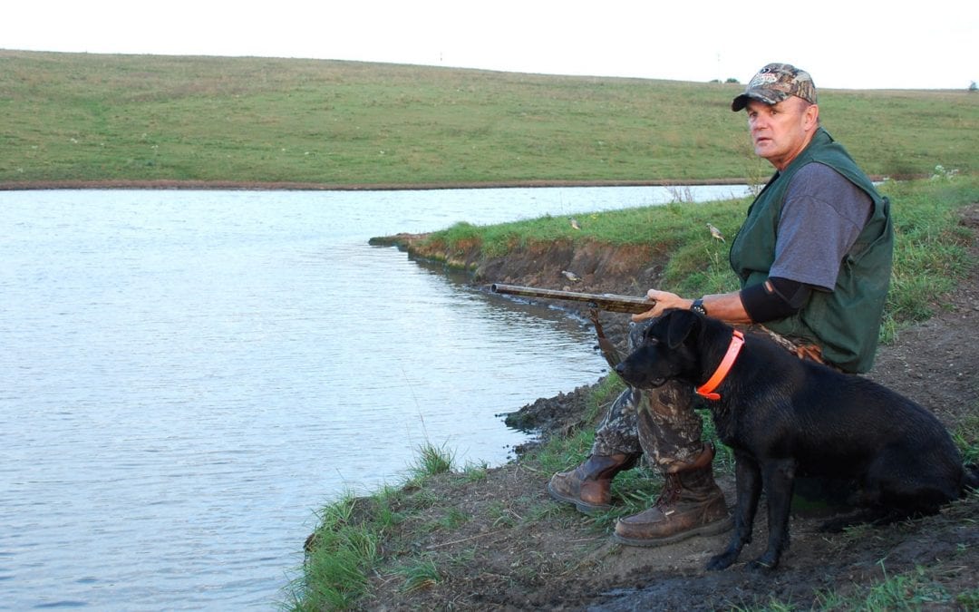 Dove Season, September 1st By Gary Howey