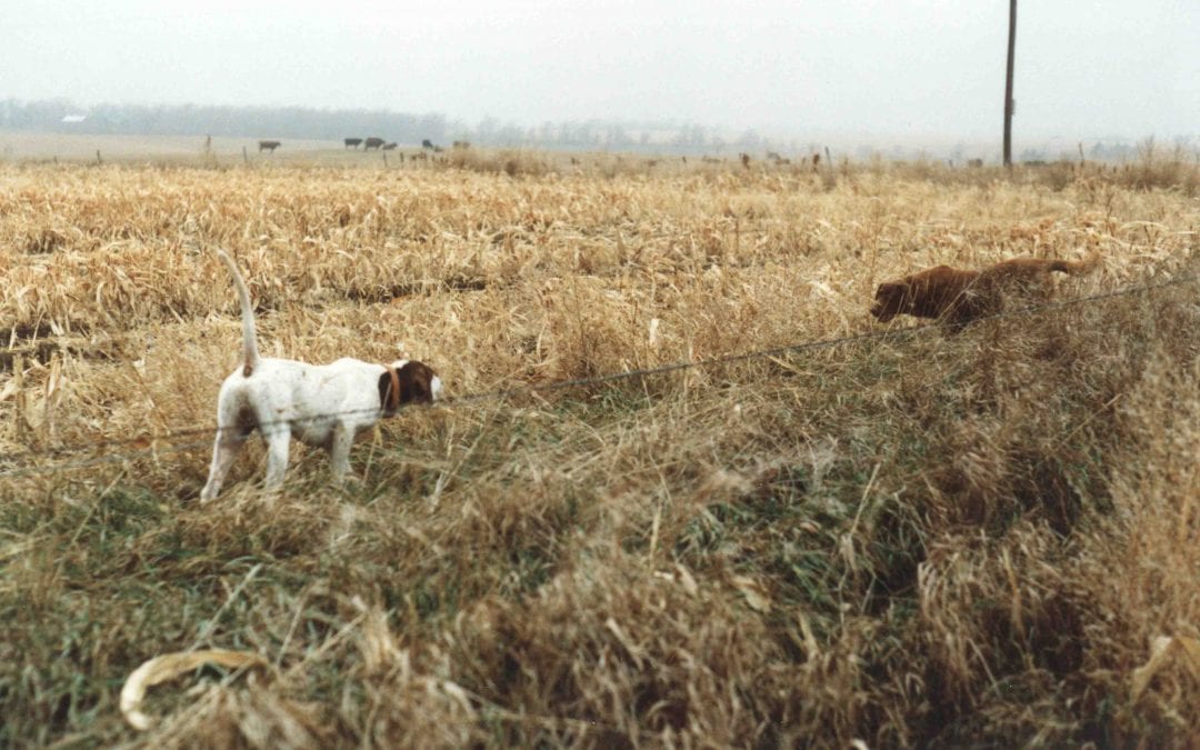 When it comes to Hunting Hunt the Edge By Gary Howey