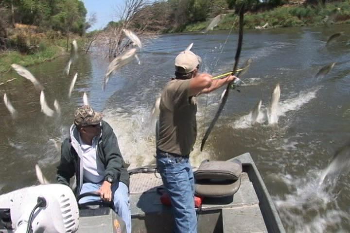 Invasion Could destroy our Fisheries
