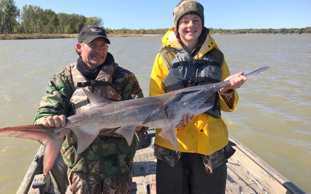 High-Water Paddlefish In the Year 2019