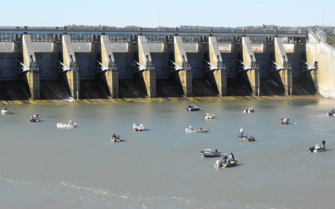 The “Migrations”