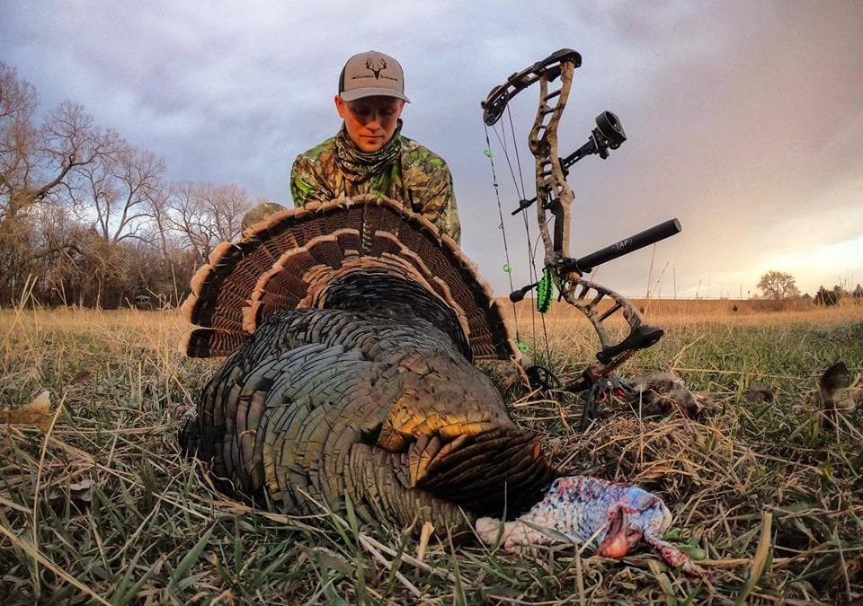 Strutting Gobblers,  It’s the Spring Season