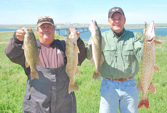 The Light Spring Bite