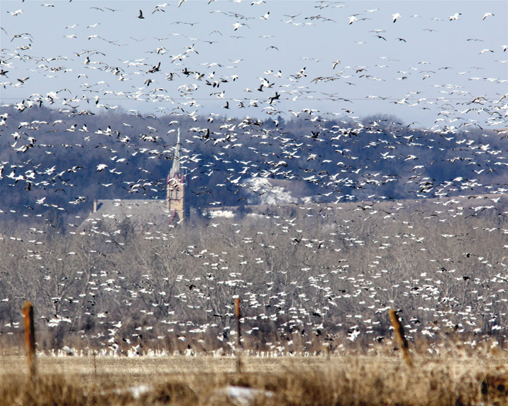 When the Blue Sky turned White