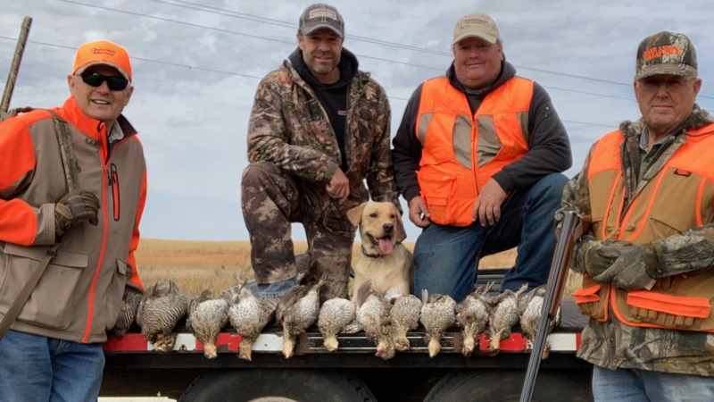 Excellent hatch, translated into excellent Numbers of  Grouse     By Gary Howey