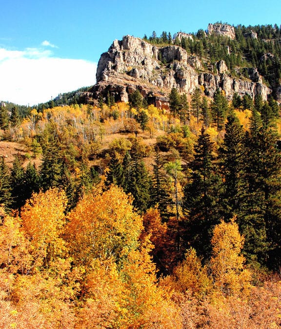 The Change  In the Outdoors     By Gary Howey