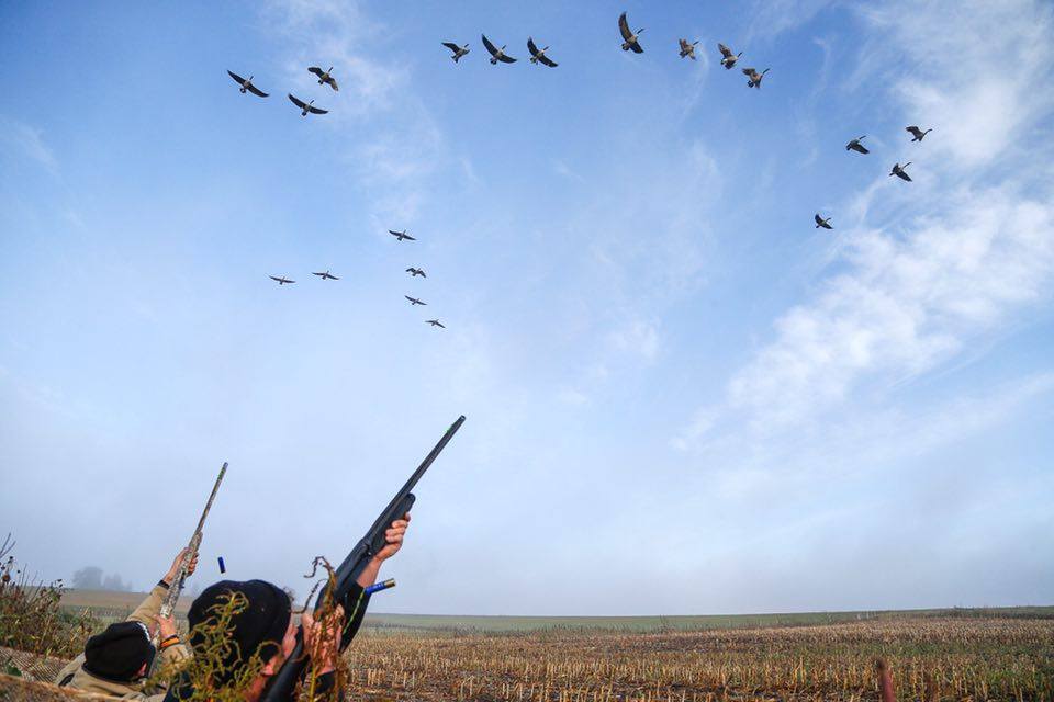 The End,  2020  Regular Waterfowl Season     Gary Howey