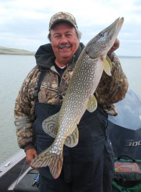 It’s A Drag,  And It best Work   By gary Howey