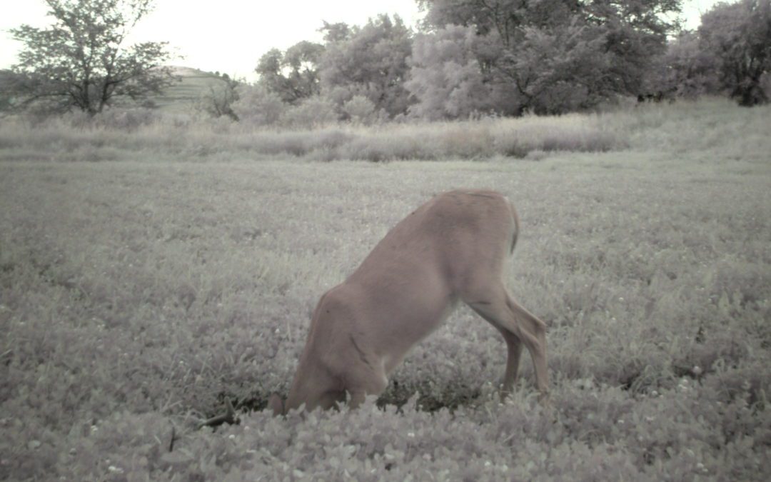 Are you Prepared for Deer Season?     gary Howey