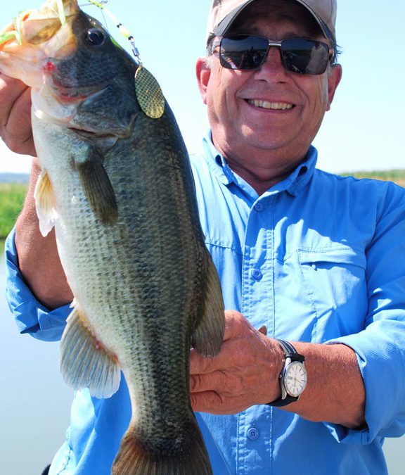 Late summer basin’ means getting into the slop and rooting with the hogs By Larry Myhre