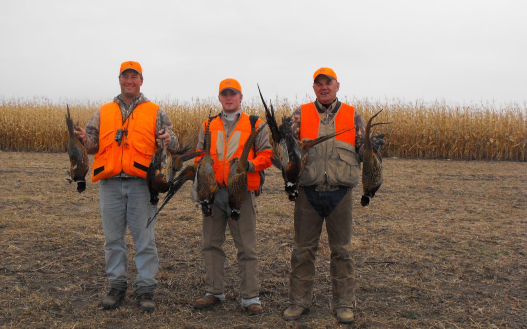  Pheasant Season By gary Howey
