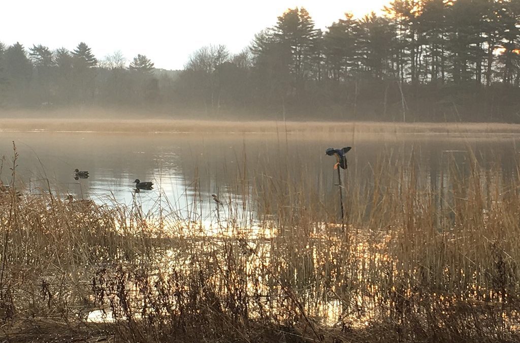 THE GAMEKEEPERS OF MOSSY OAK-FOOLING DECOY-SHY DUCKS BY BOB HUMPHREY
