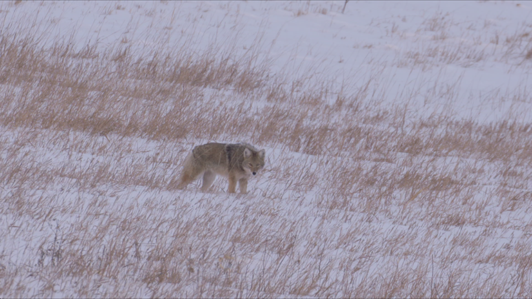 Winter 2022 gary  Howey