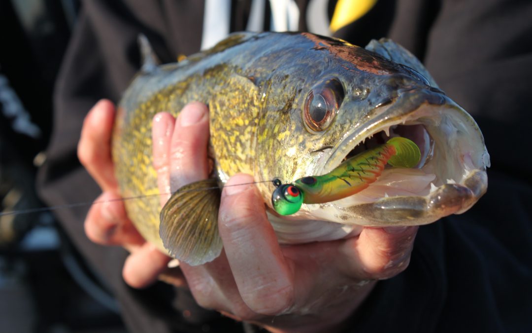 Spring Walleye Tactics by gary Howey