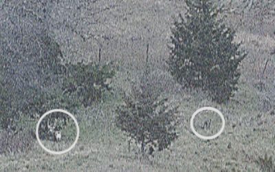 Strange things that happen while filming. By gary Howey