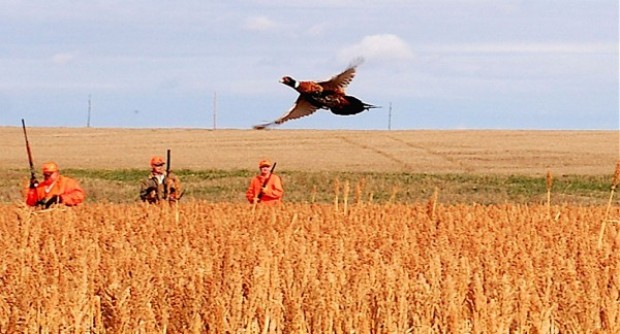 New columns will continue | by Gary Howey