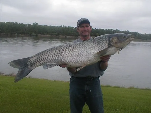 BOW FISHING BY gary Howey